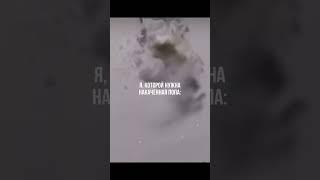 Когда цель выше ️ любых отговорок!