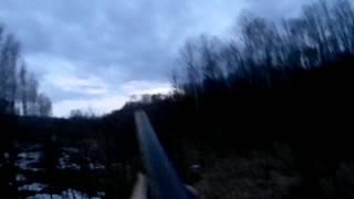 Вечерняя тяга вальдшнепа / hunting woodcock