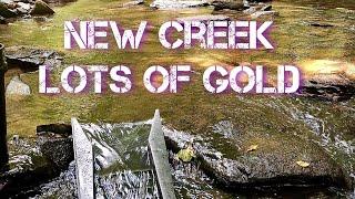 New Creek with Lots of GOLD - NC Gold Prospecting