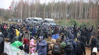 More Migrants Arrive at Poland-Belarus Border Amid Rising Tensions