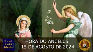 HORA DO ANGELUS -  FREI LUÍS MARIN  - 15 DE AGOSTO DE 2024