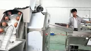 Auto onion peeling and cutting machine from Henan Vic Machine