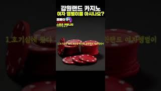 강원랜드카지노 인간도살장?! 여자앵벌이 진실 ...ㅎㄷㄷ  #강원랜드카지노 #카지노 #필리핀카지노 #라스베가스카지노