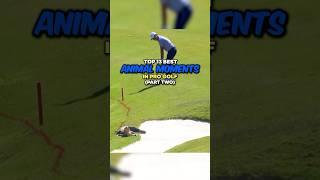 Top 13 Best Animal Moments in Pro Golf | Part 2