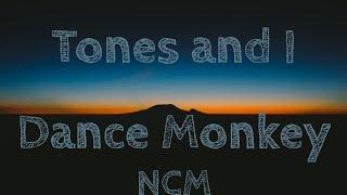 Tones and I - Dance Monkey (Lyrics)(NCM)