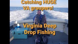 HUGE GROUPERS! Virginia Deep Drop Fishing for Grouper