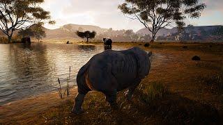 Trying to Survive as a Solo Rhino - Animalia Survival