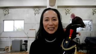 スターダンサーズ・バレエ団「くるみ割り人形」の見どころは？