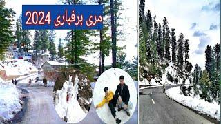 Muree Snowfall 2024//Nathia Gali Tour In Snowfall//Visting Muree In Snowfall 2024