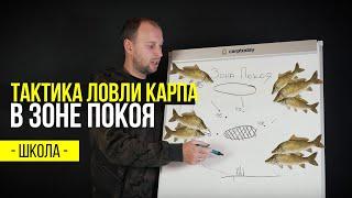 Тактика ловли карпа в ЗОНЕ ПОКОЯ. Уроки карповой ловли.