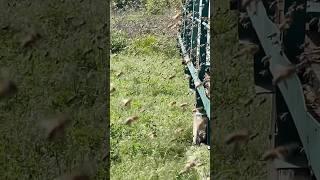 Всё что от меня зависело я сделал, теперь нужна благоприятная погода, как Бог даст так и будет 