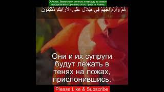 Коран Сура Ясин | 36:56 | Чтение Корана с русским переводом | Quran Translation in Russian