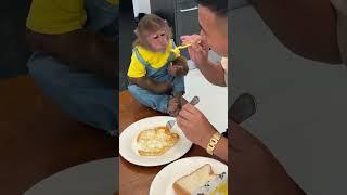Cutis eats breakfast with Dad