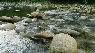 2 horas de águas calmas descendo o riacho para Relaxar,  dormir e meditar.