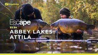 THE GREAT ESCAPE | S2 E4 | Abbey Lakes, Attila