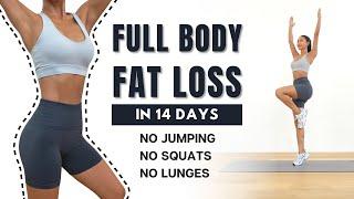 FULL BODY FAT LOSS in 14 Days 30 MIN Non-stop Standing Workout - No Jumping, No Squats, No Lunges