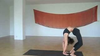 Laruga - Ashtanga Yoga - Tiriang Mukhottasana