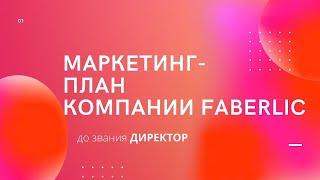 Маркетинг-план компании FABERLIC до звания Директор