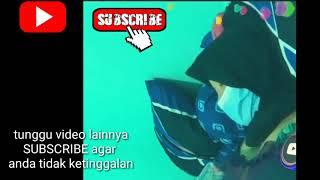 PESONA CEWEK JILBAB || SAAT DI GARAP PACAR