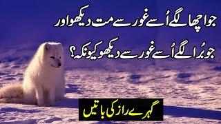 Heart Touching Quotes | Urdu Quotes | Aqwal E Zareen | Quotes About Relations | Husband Wife Quotes