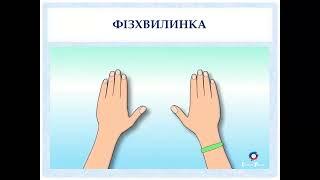 Англійська мова, 8 клас НУШ. Describing animals.Опис тварин