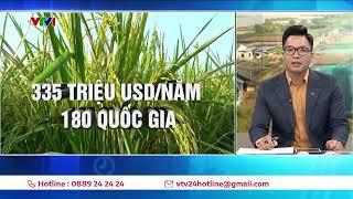 Nông sản hữu cơ Việt Nam vang danh thế giới xuất hiện tại 180 quốc gia | VTV24