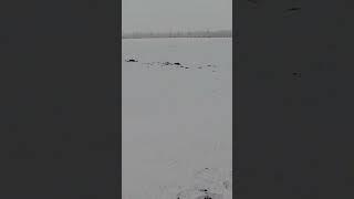 14 февраля 2025