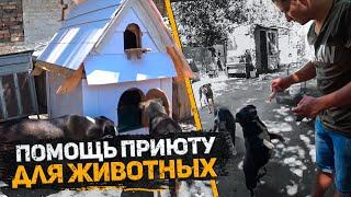 Новый дом для бездомных животных. Спас от зимних морозов. Благодарные бездомные животные