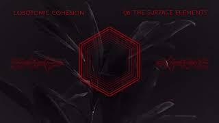 08. Lobotomic Cohesion - The surface elements