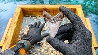 Found Megalodon Shark Tooth Underwater While Fossil Hunting! (How to Find Shark Teeth)