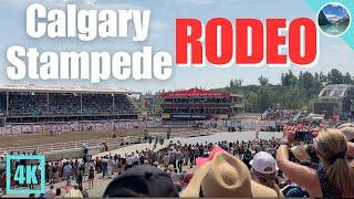 Calgary Stampede Rodeo 2024  Day 6