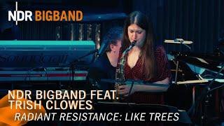 Trish Clowes: Like Trees | Radiant Resistance | NDR Bigband