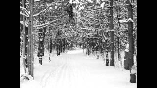 Eric Whitacre, Robert Frost - Stopping by Woods on a Snowy Evening (Sleep)