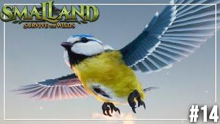 We Have a Bird!!  -  Smalland Ep14