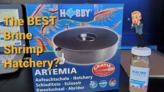 Brine Shrimp Inc. Hobby Brine Shrimp Hatchery Review- The Best Brine Shrimp Hatchery Ever?!