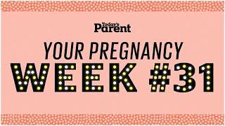 Your pregnancy: 31 weeks