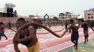 Chariot Chariots Pulling Visual from Ratha Khala to near Lion's gate | Ratha yatra 2024 |