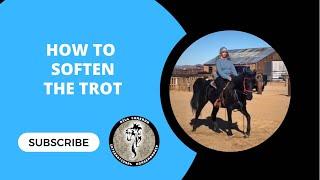  How to Soften the Trot