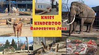 KNIES KINDERZOO, Rapperswil Jona