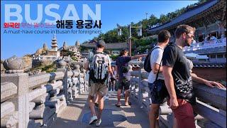 부산 여행 필수코스가 된 해동용궁사 #koreatravel