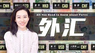 【硬核】一口气了解外汇 | Everything You Need To Know About Foreign Exchange