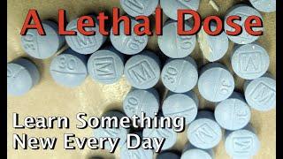 A Lethal Dose: LSED 19