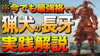 【知らなきゃ損】全追憶ボスを超簡単にする『上質型-猟犬の長牙ビルド』を解説します【エルデンリング／ビルド紹介&攻略解説】