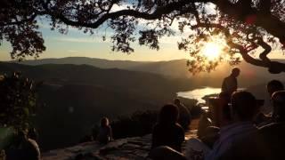 Halleck Vineyard Harvest Party 2014