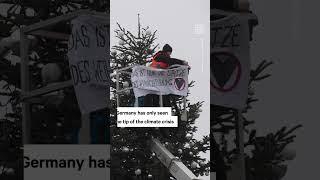 Climate Activist Cut Berlin Christmas Tree