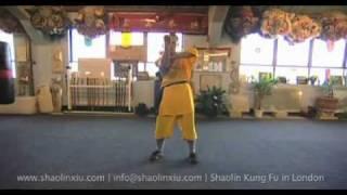 Shifu Shi Yan Xiu demonstrates an open hand form