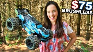 Awesome CHEAP BRUSHLESS 4WD RC Car!