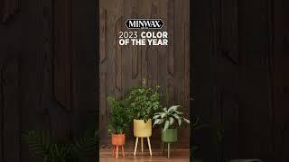 Introducing the Minwax 2023 Color of the Year: Aged Barrel #shorts