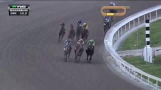 RACE REPLAY: 2017 Fountain of Youth Stakes Featuring Gunnevera