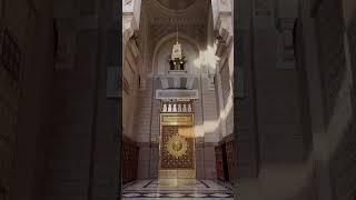Alhmdulillah️ #shorts #shortvideo #youtubeshorts